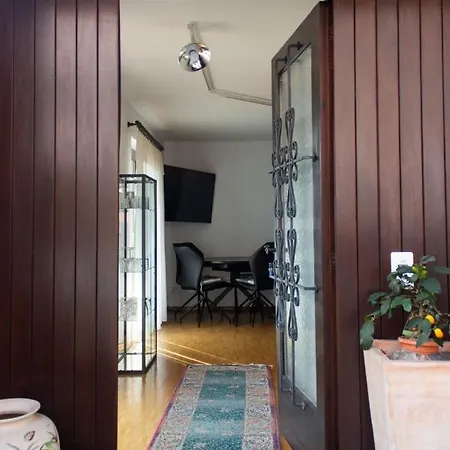 Panoramic Apartment Orselina