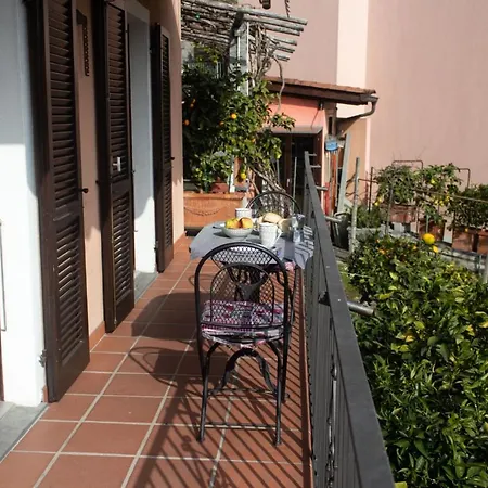 Panoramic